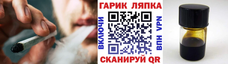 Купить закладки Чудово ГАШ Изолятор