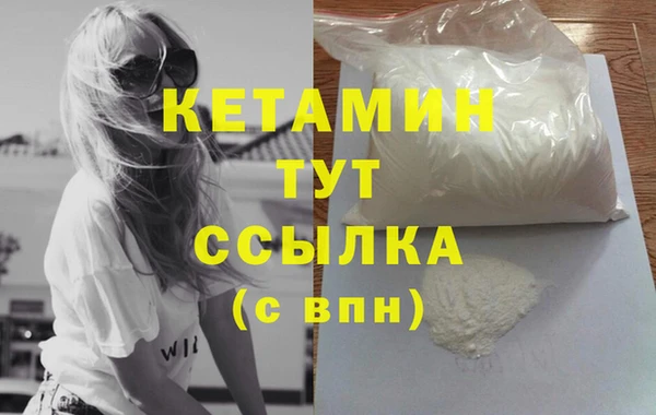 гидра Няндома