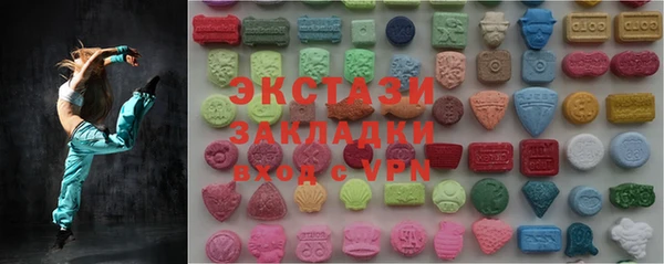 гидра Няндома