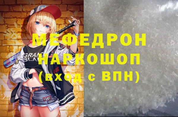 гидра Няндома