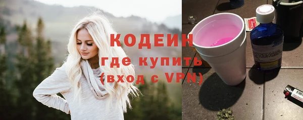 гидра Няндома