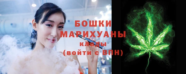 гидра Няндома
