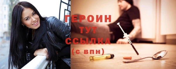 гидра Няндома