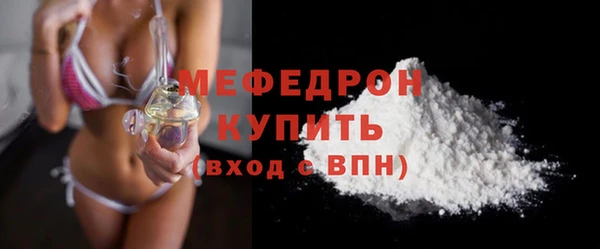 гидра Няндома