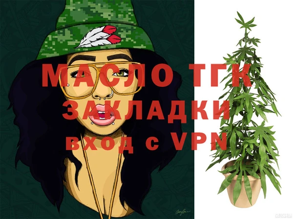гидра Няндома