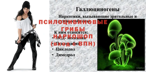 гидра Няндома