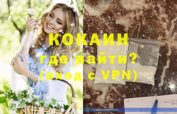 гидра Няндома