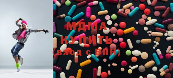 гидра Няндома
