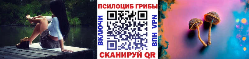 Купить закладки  Чудово  Псилоцибиновые грибы Psilocybine cubensis 