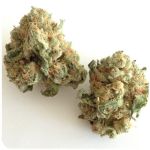 Шишки "White Widow"  (Белая вдова)  Гидропоника -  Бошка VHQ в Чудово